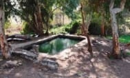 מעיינות עין אורחה (עין ג'וחאדר) (צילום: רשות מקרקעי ישראל)
