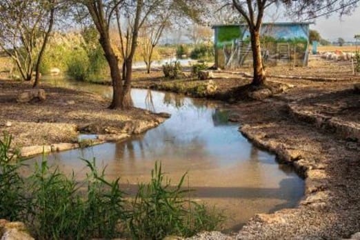 מעיין עדעד (צילום: אורטל צבר)