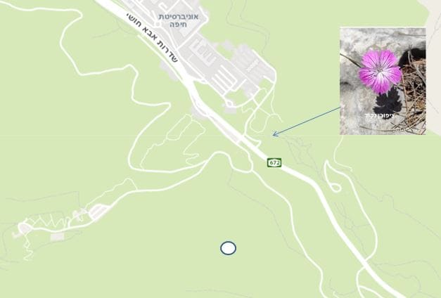 מפגש עם ציפורן נקוד • המפה באדיבות מרכז מפות ישראל