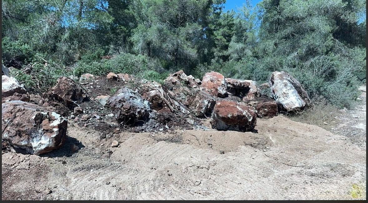 אבנים טבעיות שנכרו באופן בלתי חוקי משטח יער קק