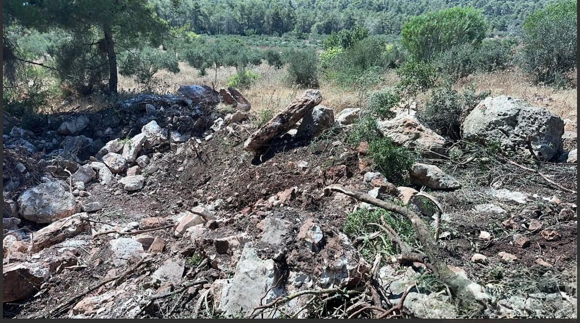  אבנים טבעיות שנכרו באופן בלתי חוקי משטח יער קק"ל בצפון הארץ  (צילום: יחידת הפיקוח קק״ל)