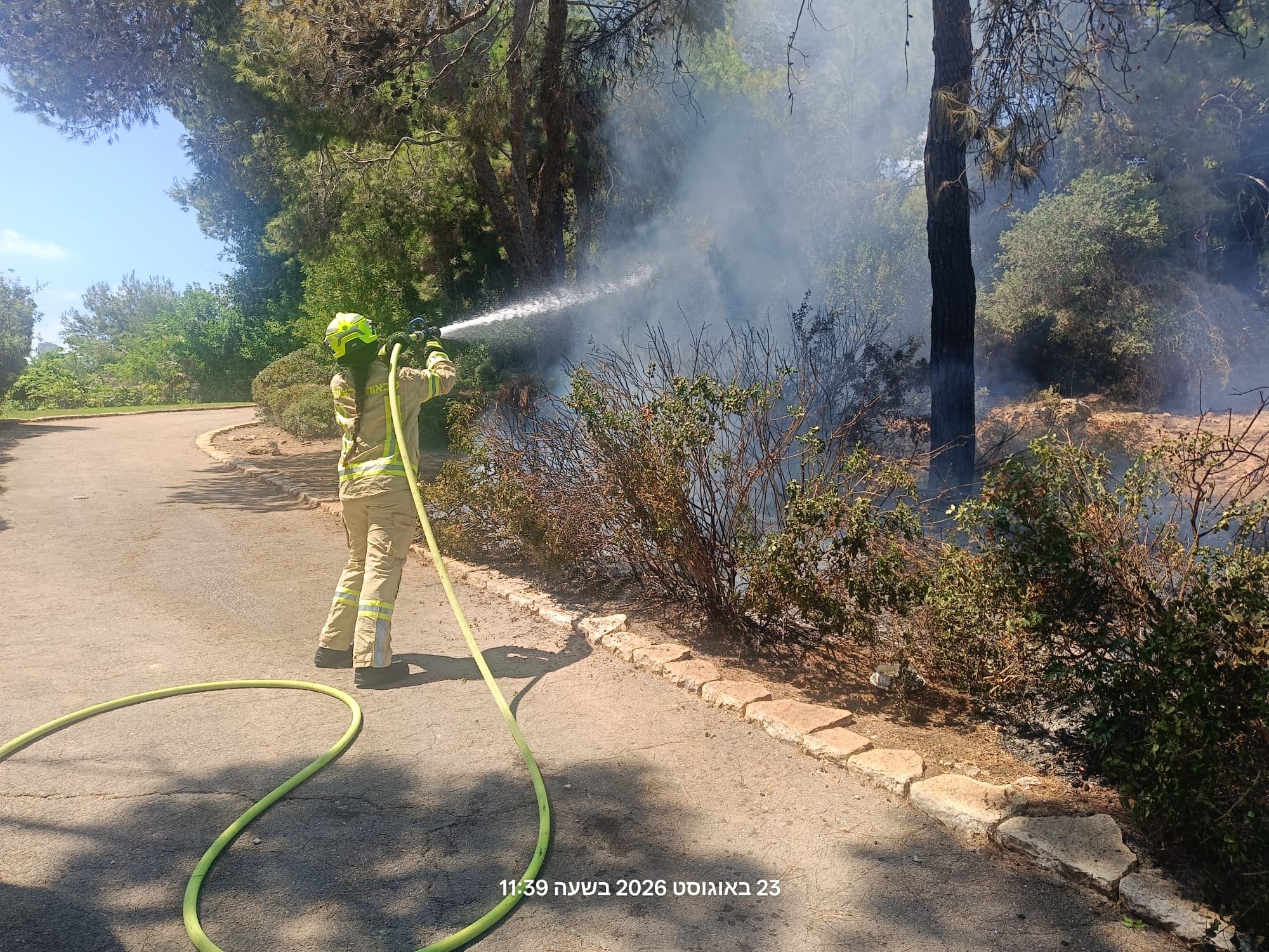שריפה בחורשה בשכונת זיו בחיפה נבלמה בידי צוותי כבאות - דוברות כבאות והצלה לישראל | מחוז חוף 23/8/26 (צילום: כבאות והצלה לישראל)