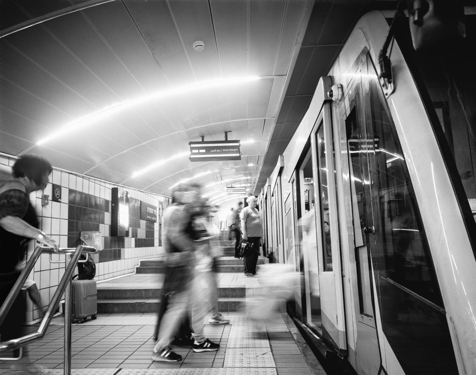 נורה אבו חדרה, הכרמלית, 2026. ( צילום: מוזיאוני חיפה)