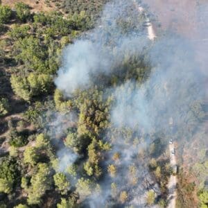 שריפת יער בשמורת הר חורשן – הכוחות פועלים לבלימת האש - דוברות כבאות והצלה לישראל | מחוז חוף 26/8/26 (צילום: כבאות והצלה לישראל)