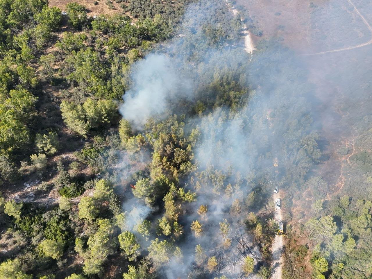 שריפת יער בשמורת הר חורשן – הכוחות פועלים לבלימת האש - דוברות כבאות והצלה לישראל | מחוז חוף 26/8/26 (צילום: כבאות והצלה לישראל)