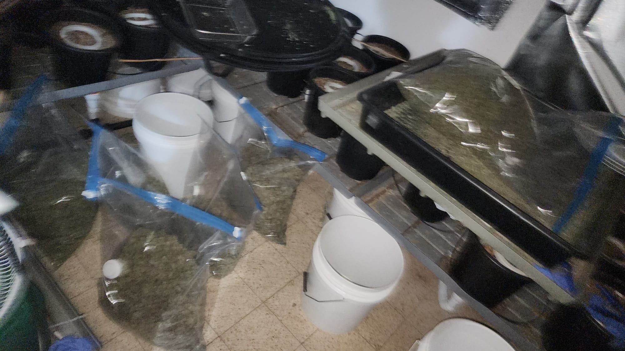 נתפסו 8.4 ק״ג מריחואנה בדירת ייבוש בקריית ים - מצ״ב תיעוד 30/8/26 (צילום: דוברות המשטרה)