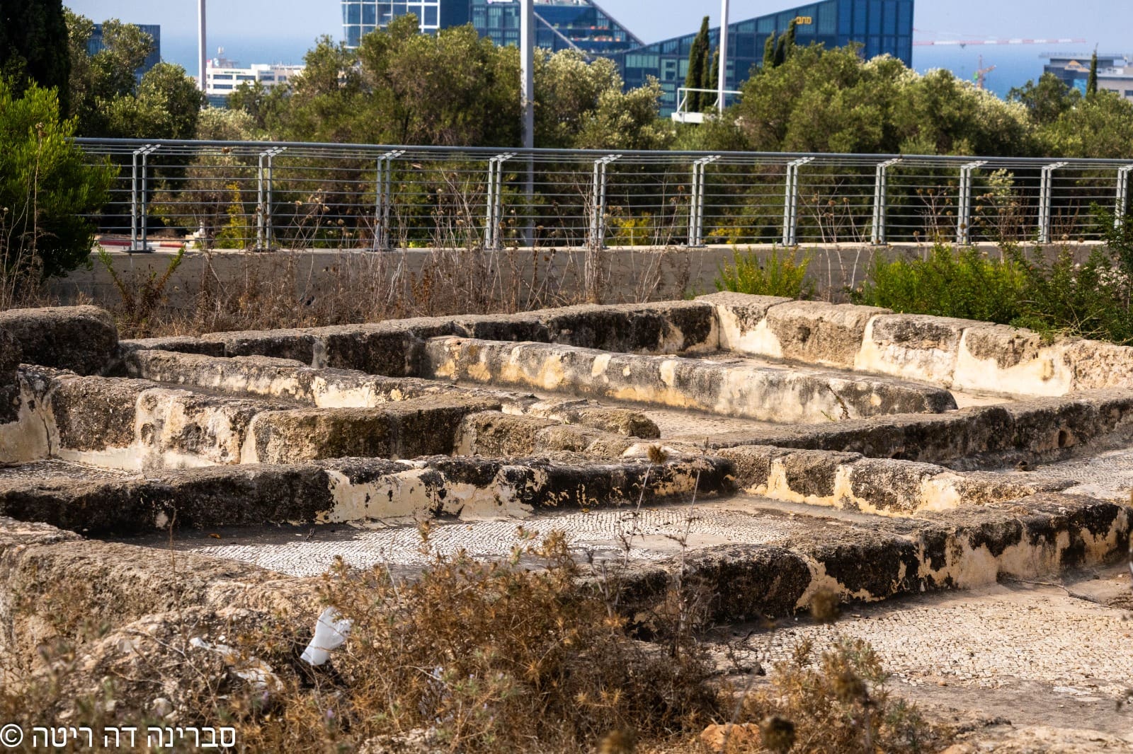 עתיקות חורבת קסטרא. (צילום: סברינה דה ריטה)
