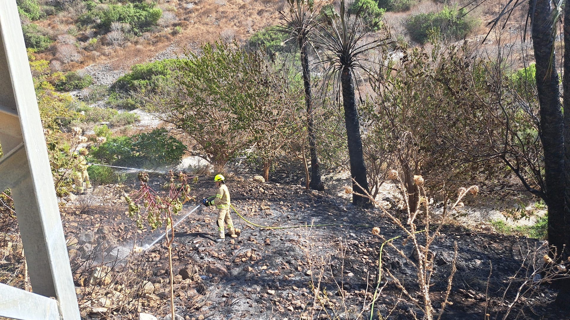 שריפה פרצה בבוסתן כיאט בנחל שיח בחיפה - דוברות כבאות והצלה לישראל | מחוז חוף 30/8/26 (צילום: כבאות והצלה לישראל)