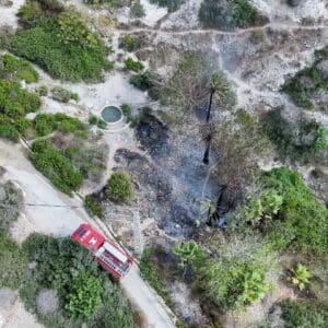 שריפה פרצה בבוסתן כיאט בנחל שיח בחיפה שריפה פרצה בבוסתן כיאט בנחל שיח בחיפה - דוברות כבאות והצלה לישראל | מחוז חוף 30/8/26 (צילום: כבאות והצלה לישראל)