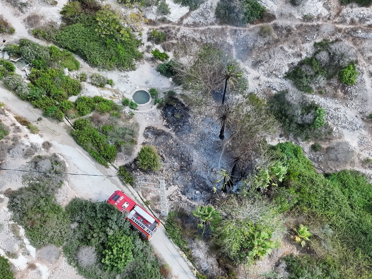 שריפה פרצה בבוסתן כיאט בנחל שיח בחיפה - דוברות כבאות והצלה לישראל | מחוז חוף 30/8/26 (צילום: כבאות והצלה לישראל)