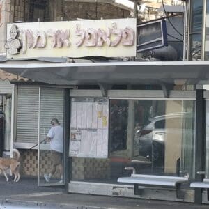 פלאפל ארמון (צילום: סמר עודה כרנתינג'י)