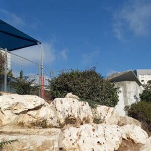 העשביה בצמוד לגן (צילום: חי פה בשטח)