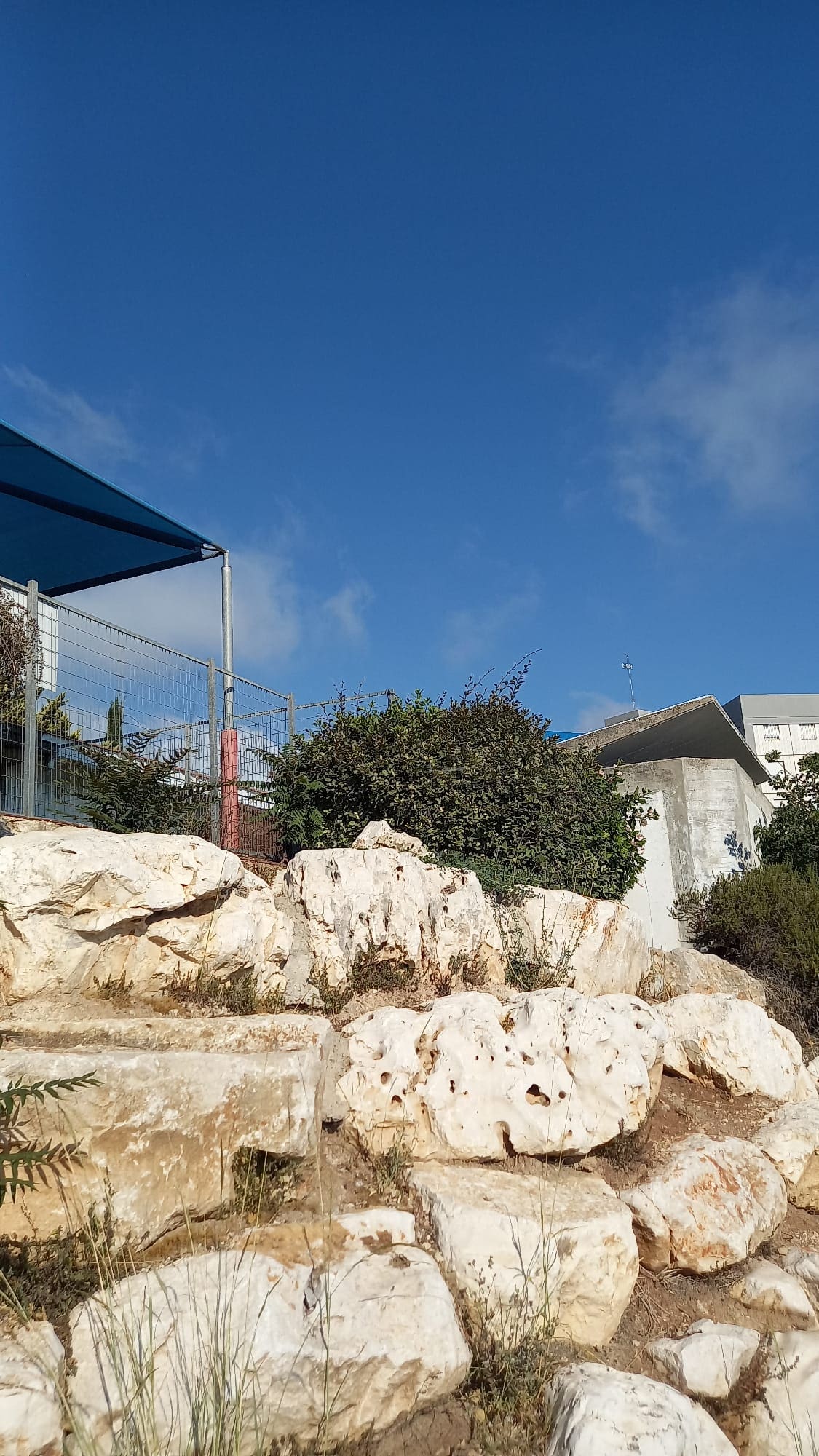 העשביה בצמוד לגן (צילום: חי פה בשטח)