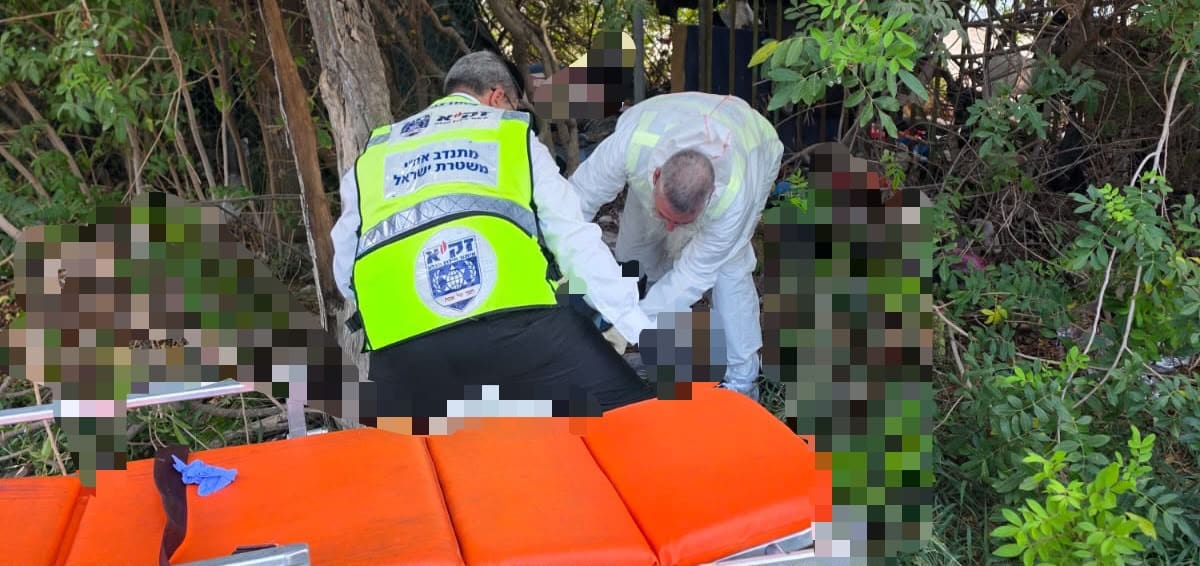 גופה אותרה בין השיחים בקריית ים (צילום: זק"א)