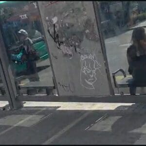 תחנות האוטובוס בחיפה • "אי אפשר לשבת, הכול מטונף ומסריח"