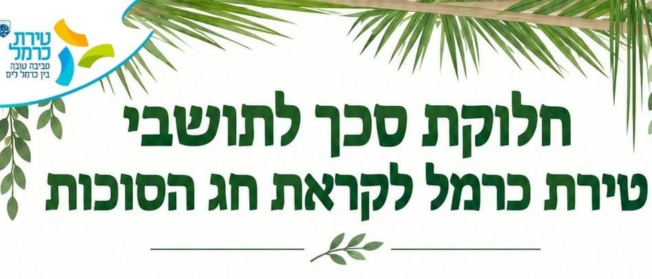 סכך לסוכה (צילום: עיריית טירת כרמל)