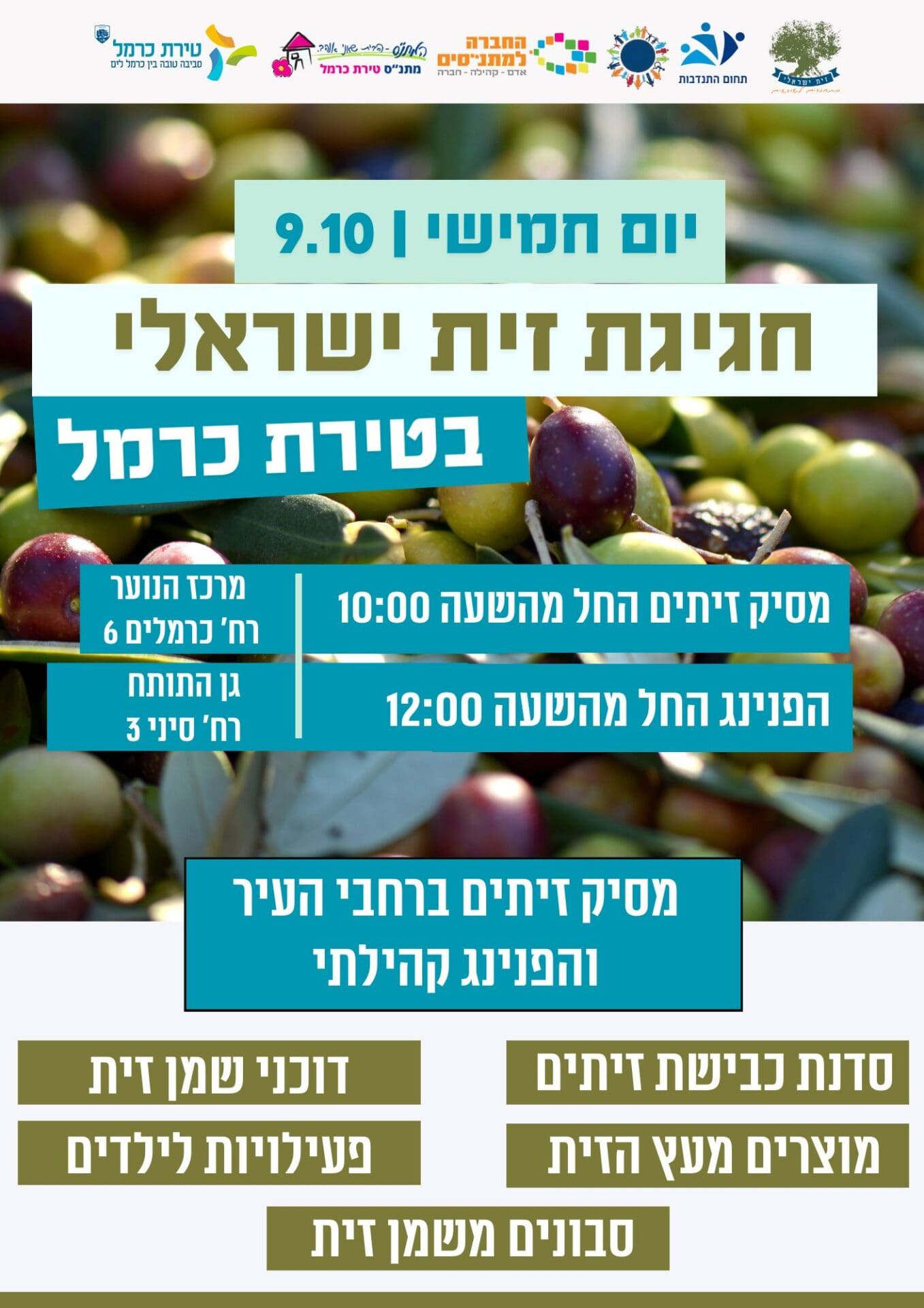 מסיק זיתים בסוכות (צילום: ע.טירת כרמל)
