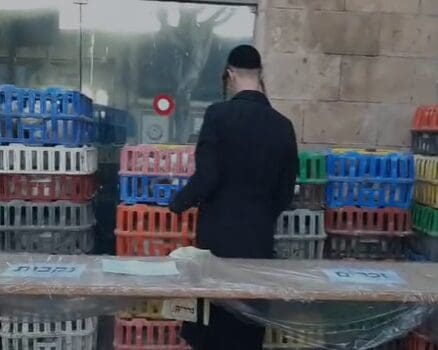 התרנגולות מחכות לטקס הכפרה בארגזים (צילום: אלבום פרטי)