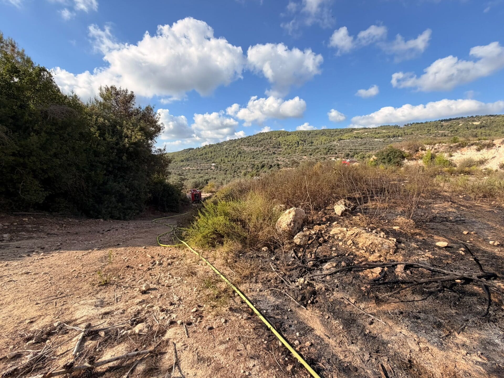שרפת יער פרצה בפארק הכרמל במהלך יום הכיפורים - דוברות כבאות והצלה לישראל | מחוז חוף 22/9/26 (צילום: כבאות והצלה לישראל)