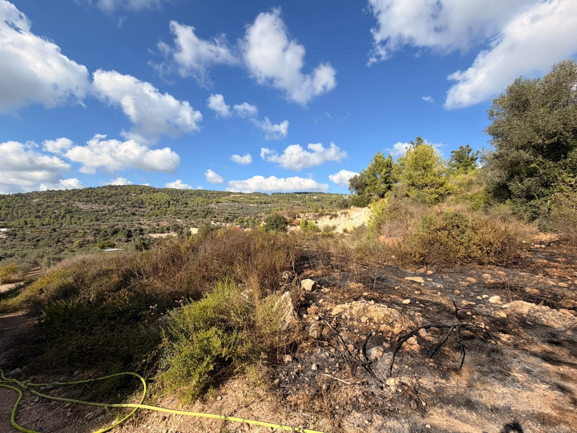 שרפת יער פרצה בפארק הכרמל במהלך יום הכיפורים - דוברות כבאות והצלה לישראל | מחוז חוף 22/9/26 (צילום: כבאות והצלה לישראל)