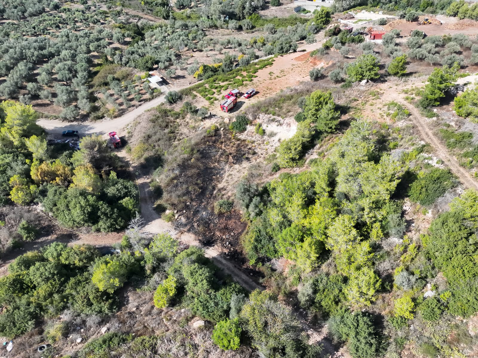 שרפת יער פרצה בפארק הכרמל במהלך יום הכיפורים - דוברות כבאות והצלה לישראל | מחוז חוף 22/9/26 (צילום: כבאות והצלה לישראל)