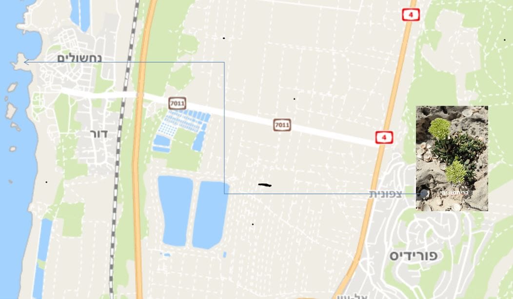 מפגש עם קריתמון ימי • המפה באדיבות מרכז מפות ישראל