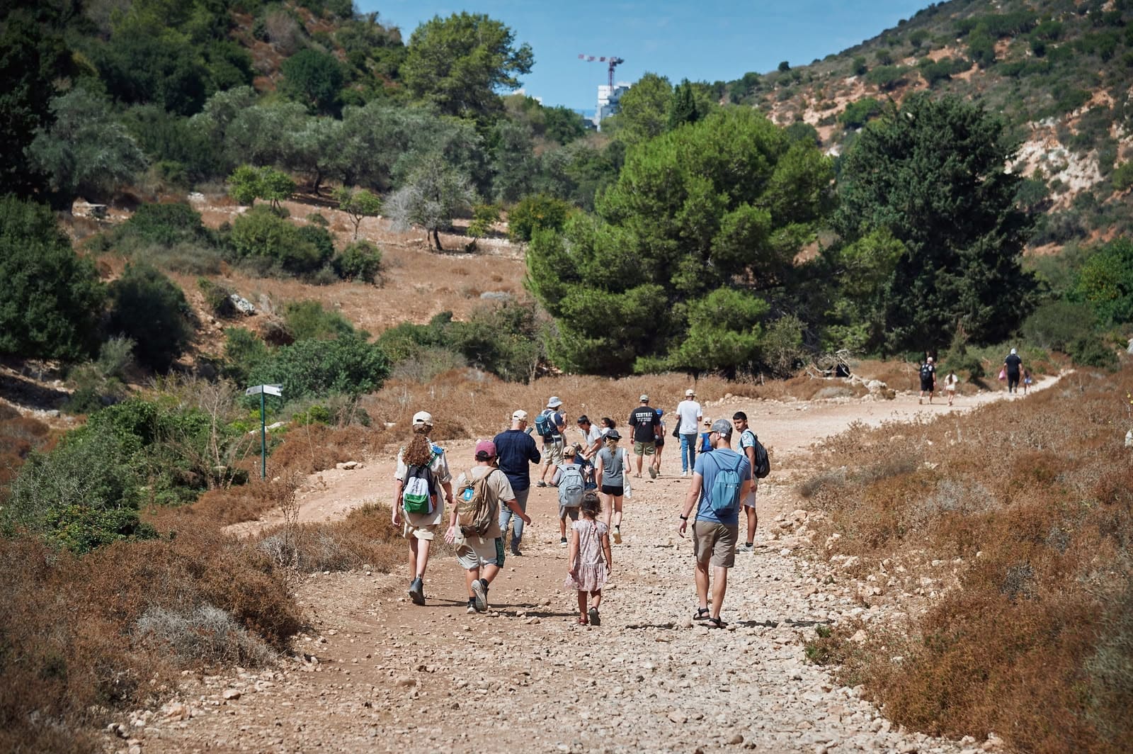 צעדת עין קדם בטירת כרמל (צילומים: שרון לייבל, עיריית טירת כרמל)