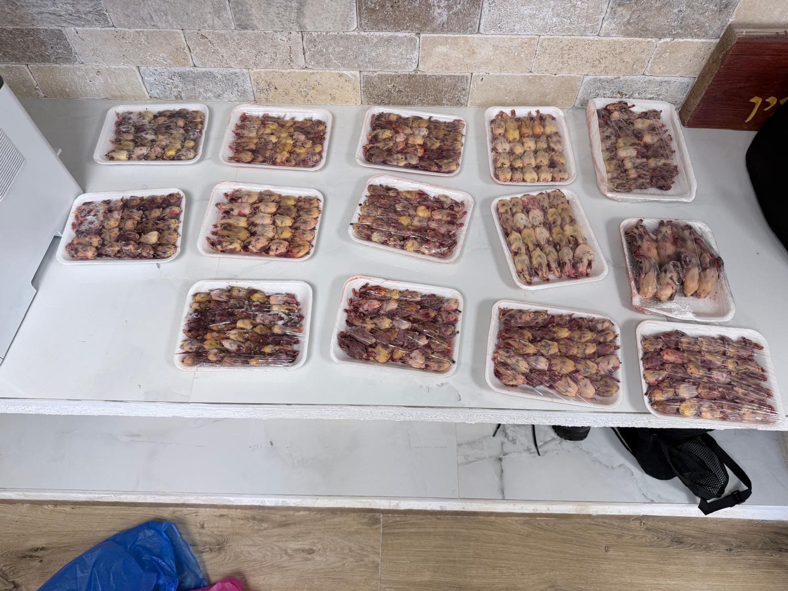 נעצרו שני חשודים בציד וסחר באלפי ציפורי שיר מוגנות - הודעה משותפת לדוברות המשטרה ורשות הטבע והגנים 6/10/26 (צילום: דוברות המשטרה ורשות הטבע והגנים)