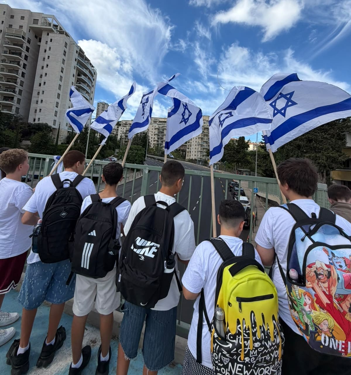 דגלים על גשר בית הספר - תיכון אליאנס (צילום: שי אביטל אוחיון)